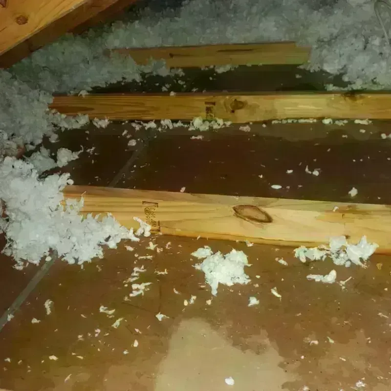 Attic Water Damage in New Boston, TX