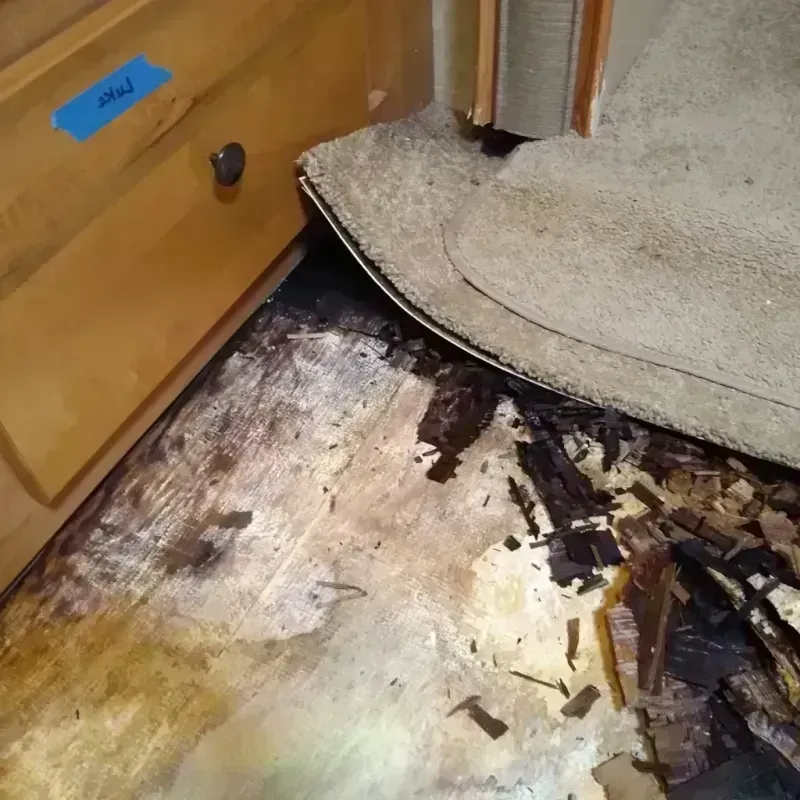 Wood Floor Water Damage in New Boston, TX